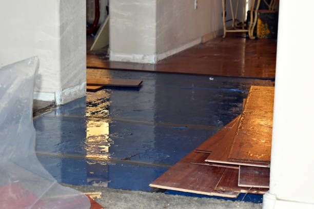 Professional Basement Flooding technician working in Chepachet, RI